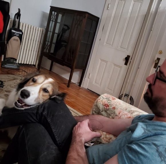 Meet your Posher, Julian - Picture 1 of 1